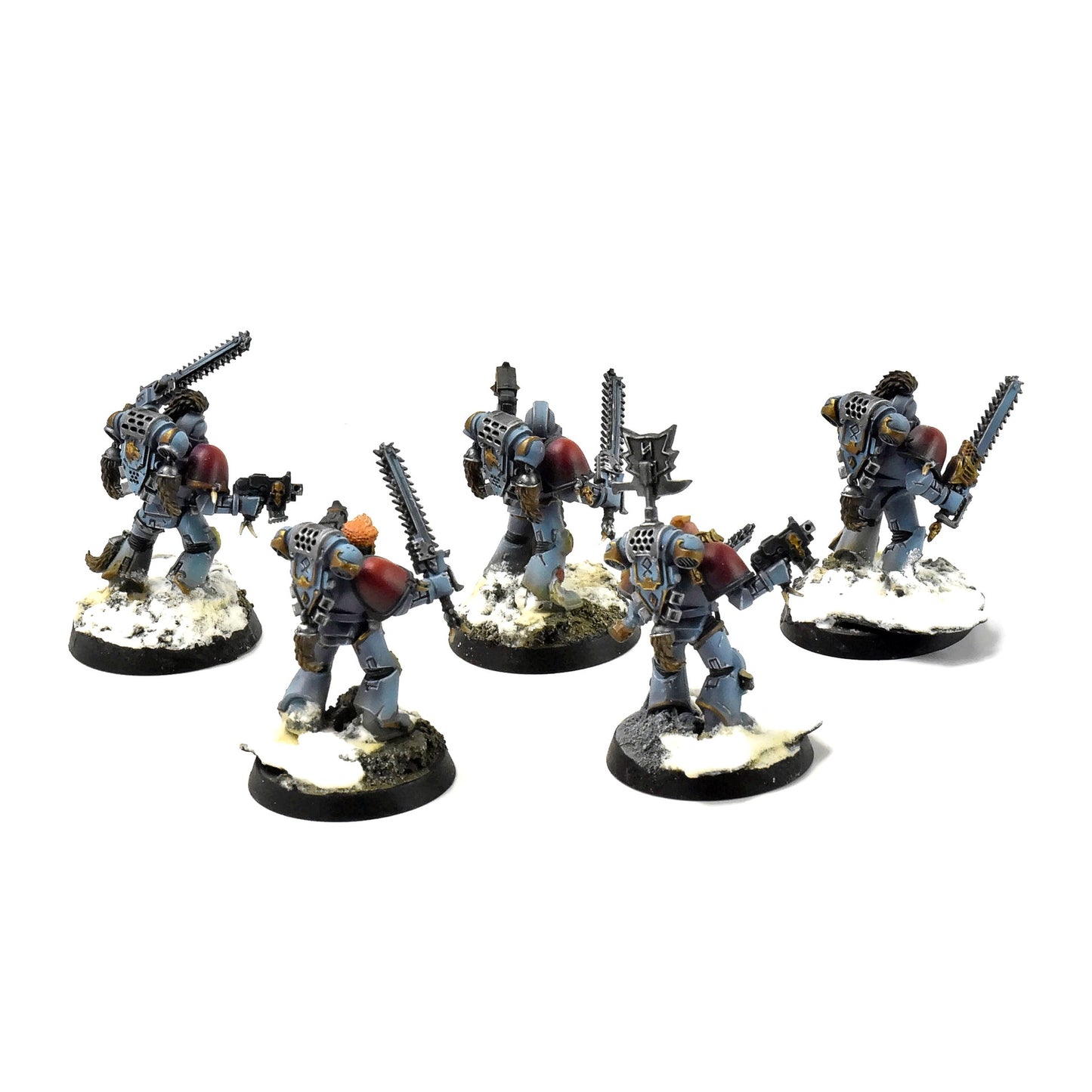 SPACE WOLVES 5 Wolf Guards #6 PRO PAINTED Warhammer 40k