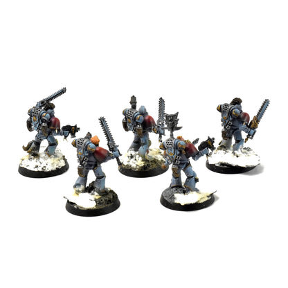 SPACE WOLVES 5 Wolf Guards #6 PRO PAINTED Warhammer 40k
