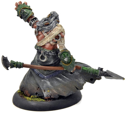 HORDES Cyclop Shaman #1 METAL Skorne WELL PAINTED