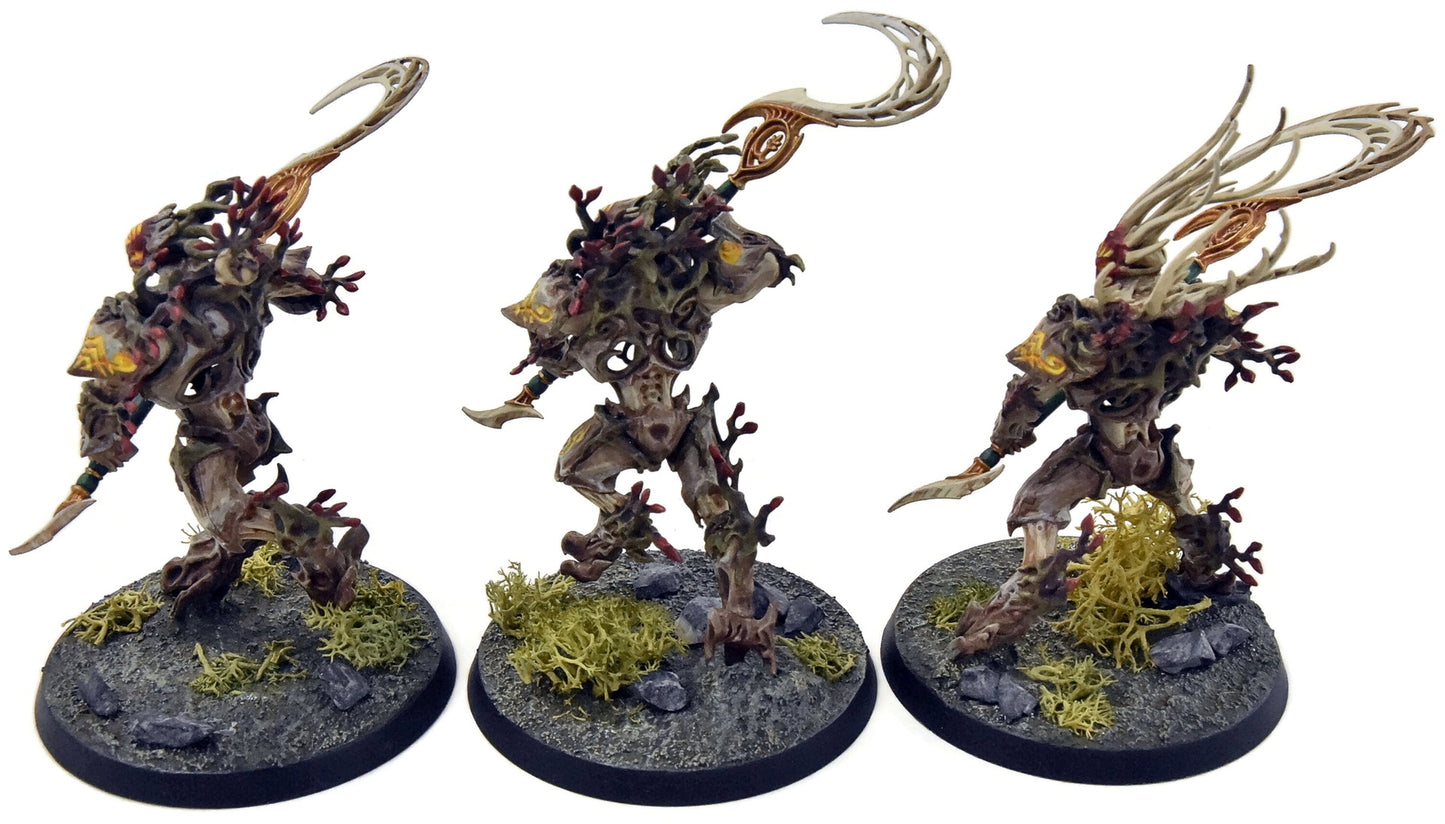 SYLVANETH 3 Kurnoth Hunters #2 WELL PAINTED Sigmar