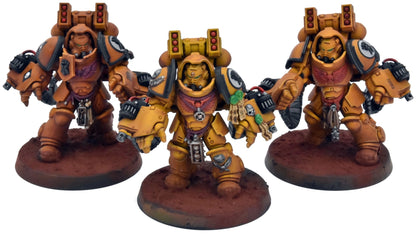 SPACE MARINES 3 Primaris Aggressors #1 PRO PAINTED Warhammer 40K Imperial Fists