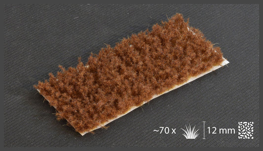 Spikey Brown Tufts - Wild