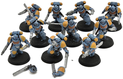 SPACE WOLVES 10 Assault Intercessors #1 Warhammer 40K 3657