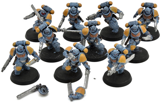 SPACE WOLVES 10 Assault Intercessors #1 Warhammer 40K 3657