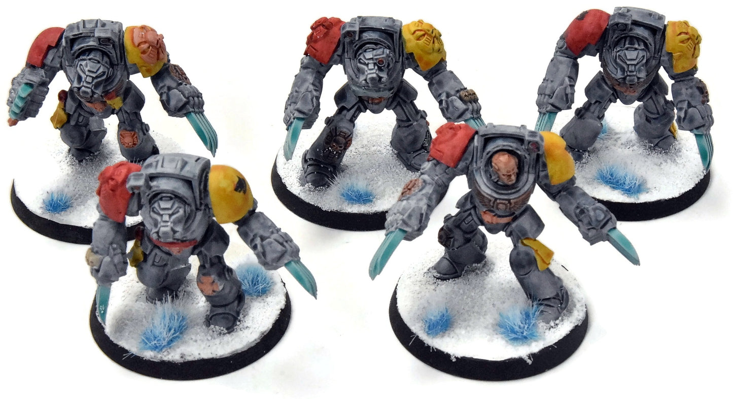 SPACE WOLVES 5 Assault Terminators #1 Warhammer 40K