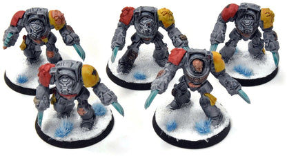 SPACE WOLVES 5 Assault Terminators #1 Warhammer 40K