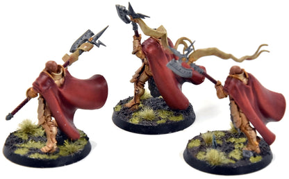 STORMCAST ETERNALS 3 Praetors #1 WELL PAINTED Sigmar 0798