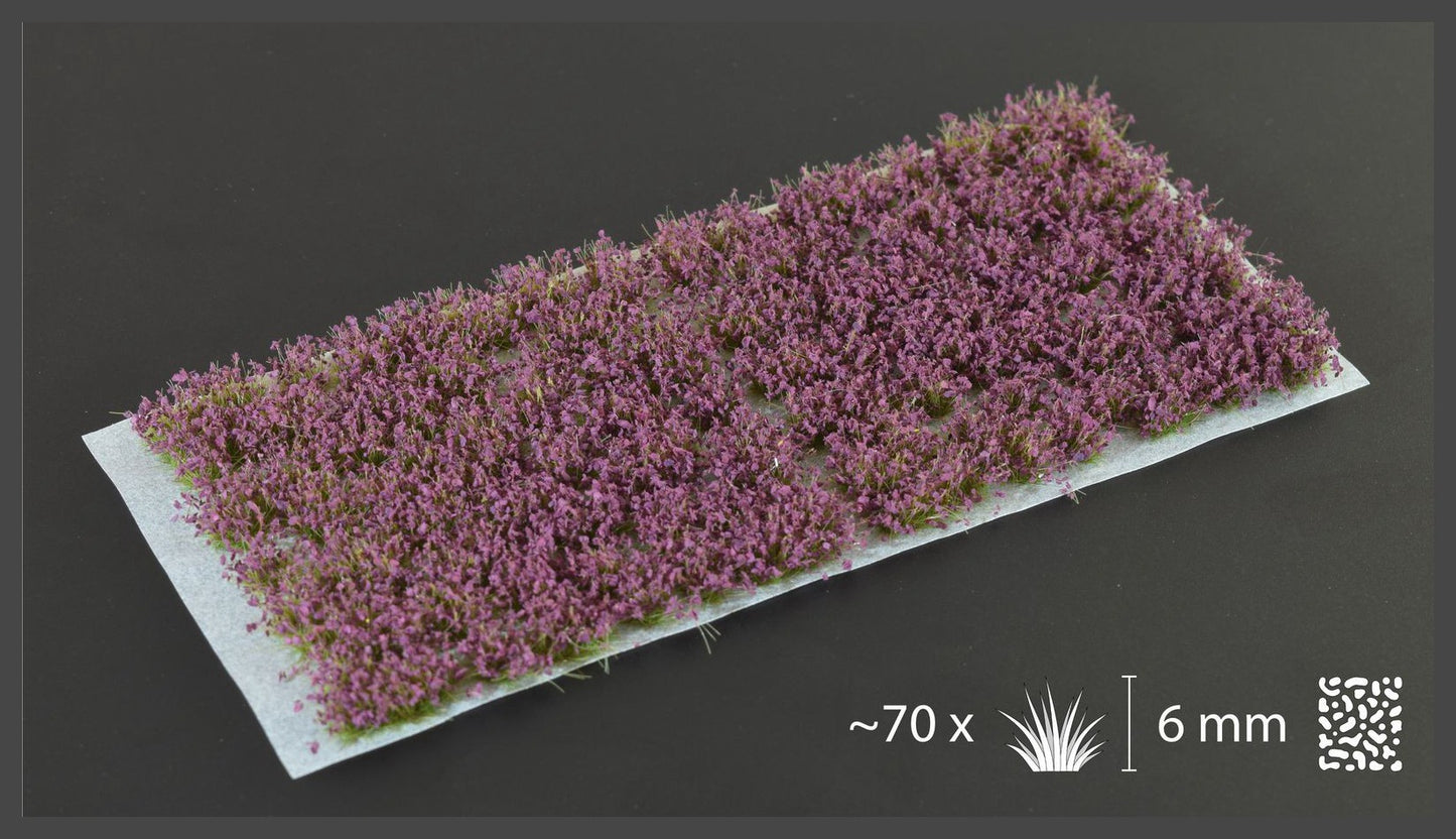 Violet Flowers - Wild