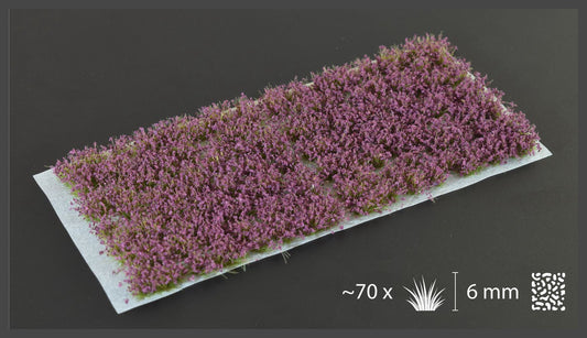 Violet Flowers - Wild