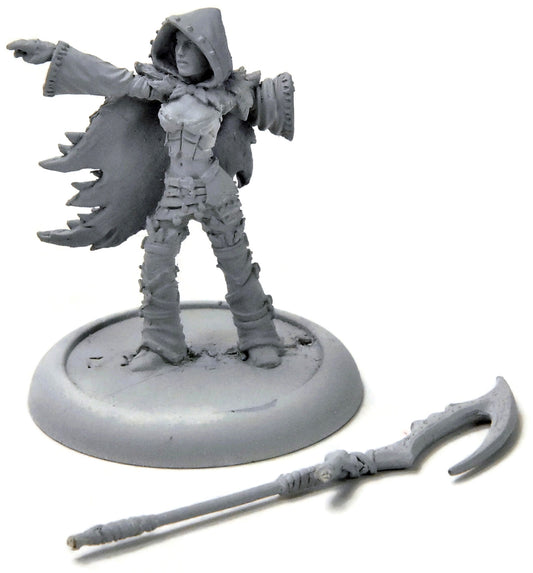 HORDES Blighted Nyss Sheperd #1 METAL legion of everblight 3257