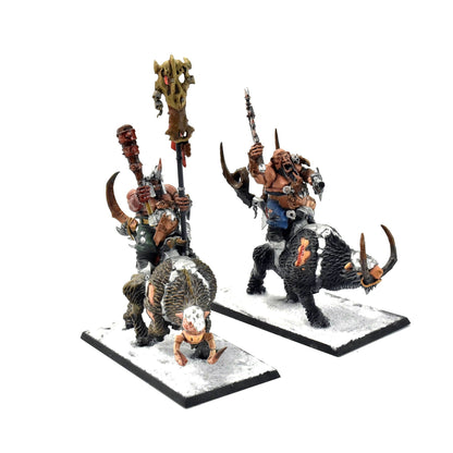 OGOR MAWTRIBES Mournfang Pack #6 WELL PAINTED Warhammer Sigmar