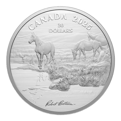 Mustang Country by Robert Bateman – 2 oz. $30 Fine Silver Coin (2025)