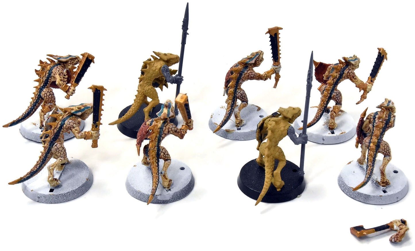 SERAPHON 8 Saurus Warriors #3 old sculpt Warhammer Sigmar