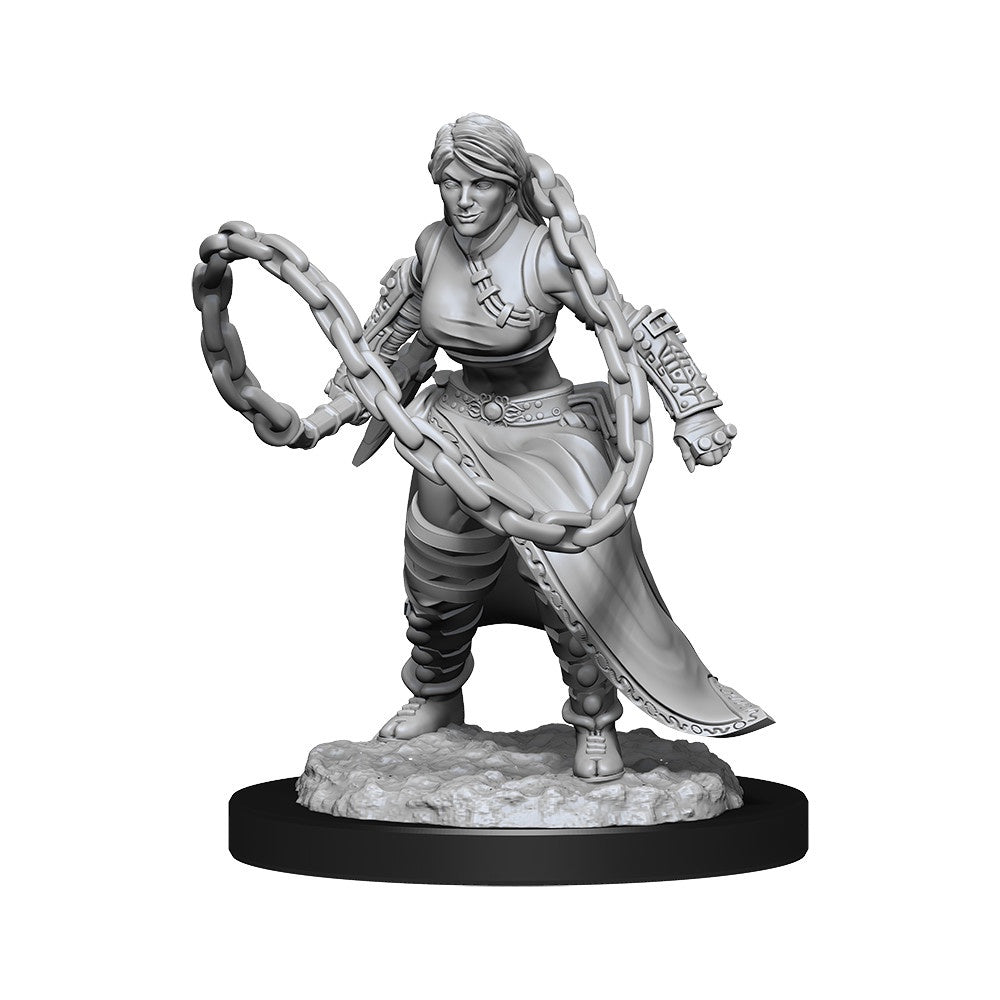 D&D Unpainted Minis Wv14 Human Monk Female