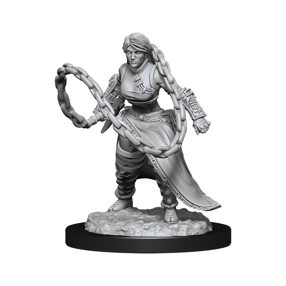 D&D Unpainted Minis Wv14 Human Monk Female