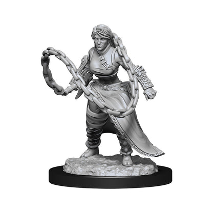 D&D Unpainted Minis Wv14 Human Monk Female
