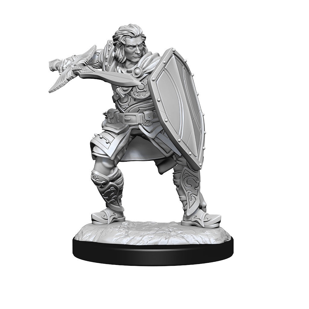 D&D Unpainted Minis Wv14 Human Paladin Male