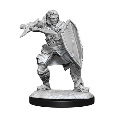 D&D Unpainted Minis Wv14 Human Paladin Male