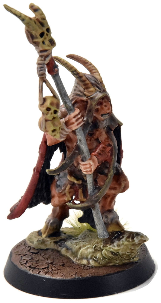 BEAST OF CHAOS Great Bray Shaman #1 WELL PAINTED Sigmar