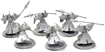 HORDES Cataphract Cetrati #1 skorne