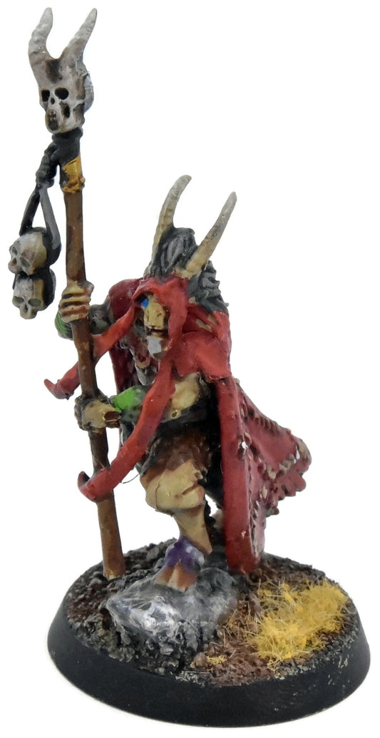 BEASTS OF CHAOS Great-Bray Shaman #2 WELL PAINTED Warhammer Sigmar