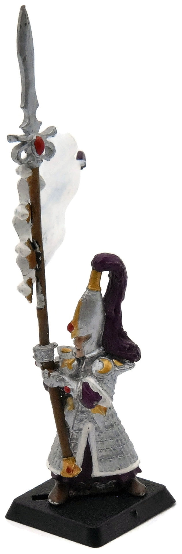 HIGH ELVES Swordsmaster Banner #1 METAL Fantasy