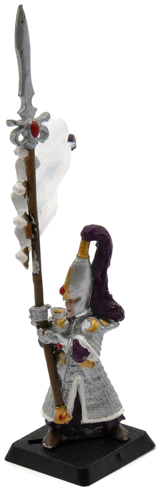 HIGH ELVES Swordsmaster Banner #1 METAL Fantasy