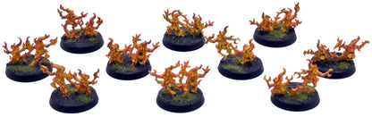 DISCIPLES OF TZEENTCH 10 Brimstone Of Tzeentch #1 COMMISSION PRO PAINTED Sigmar 0171