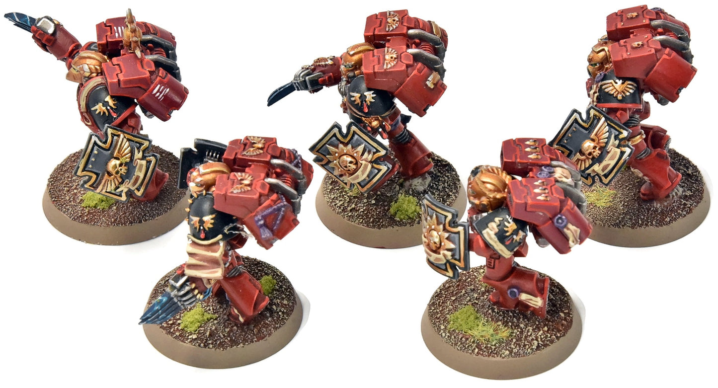 BLOOD ANGELS Vanguard Veteran Squad #11 PRO PAINTED Warhammer 40K