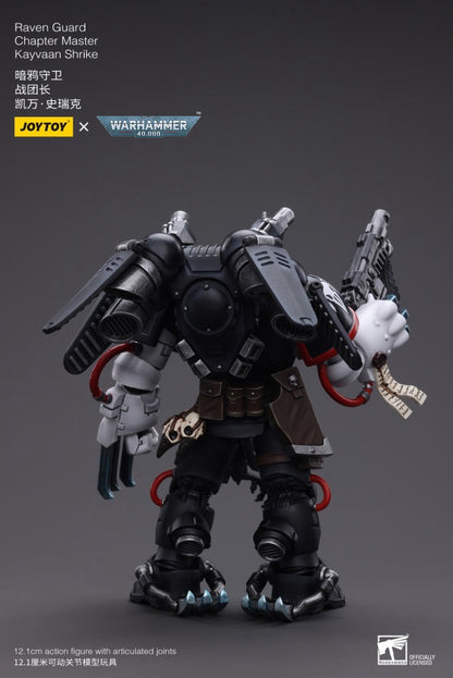 Raven Guard Chapter Master Kayvaan Shrike Joy Toy