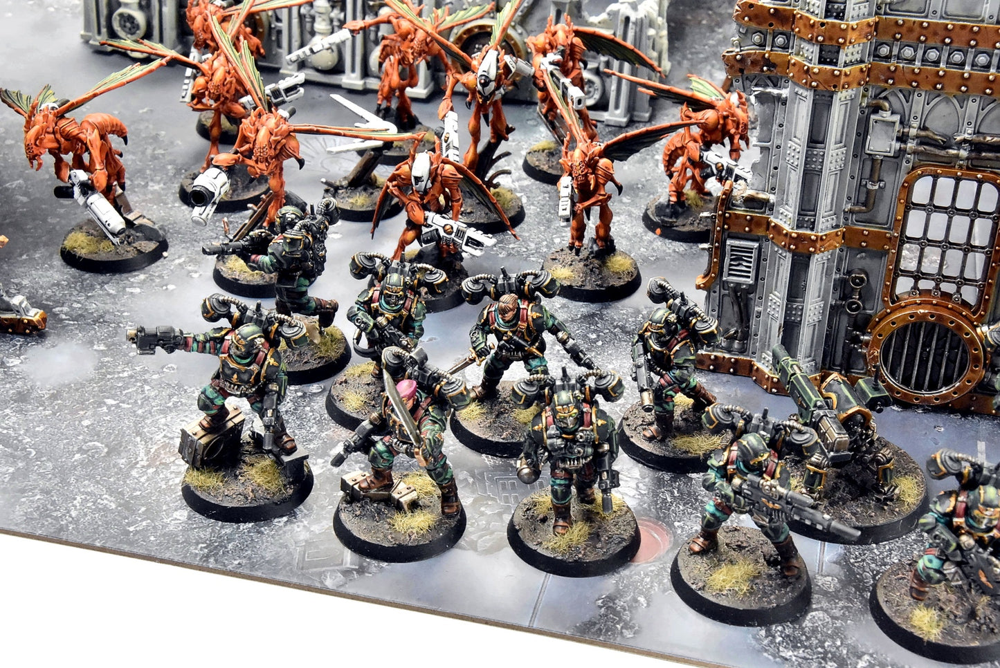 KILL TEAM  HIVESTORM #1 COMMISSION PRO PAINTED 40K Vespids Aquilons 5290