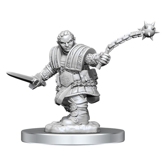 D&D Unpainted Minis Wv16 Dwarf Fighter Female