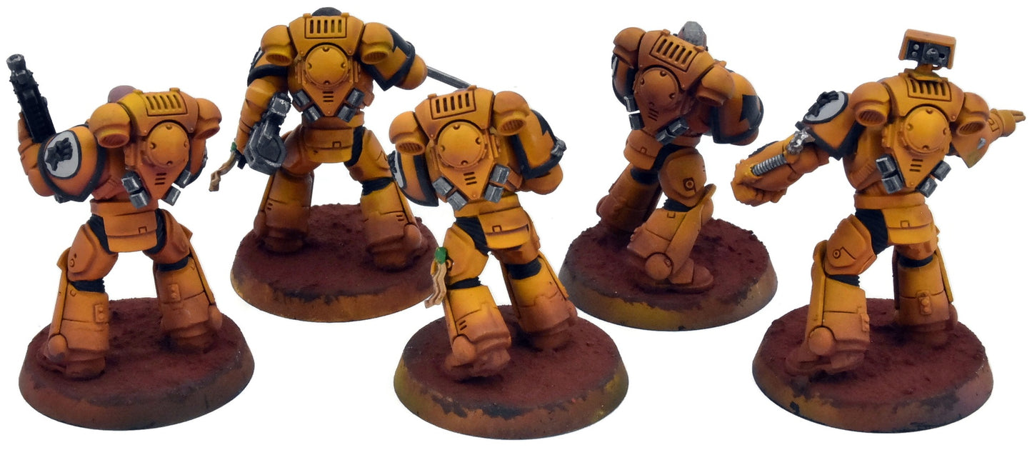 SPACE MARINES 5 Primaris Intercessors #1 PRO PAINTED 40K Imperial Fists