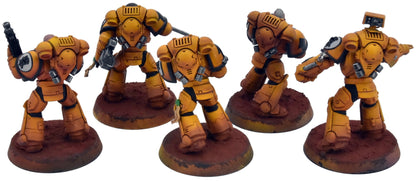 SPACE MARINES 5 Primaris Intercessors #1 PRO PAINTED 40K Imperial Fists