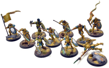 STORMCAST ETERNALS 10 Vindictors #1 WELL PAINTED Sigmar