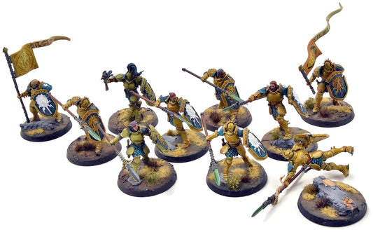 STORMCAST ETERNALS 10 Vindictors #1 WELL PAINTED Sigmar