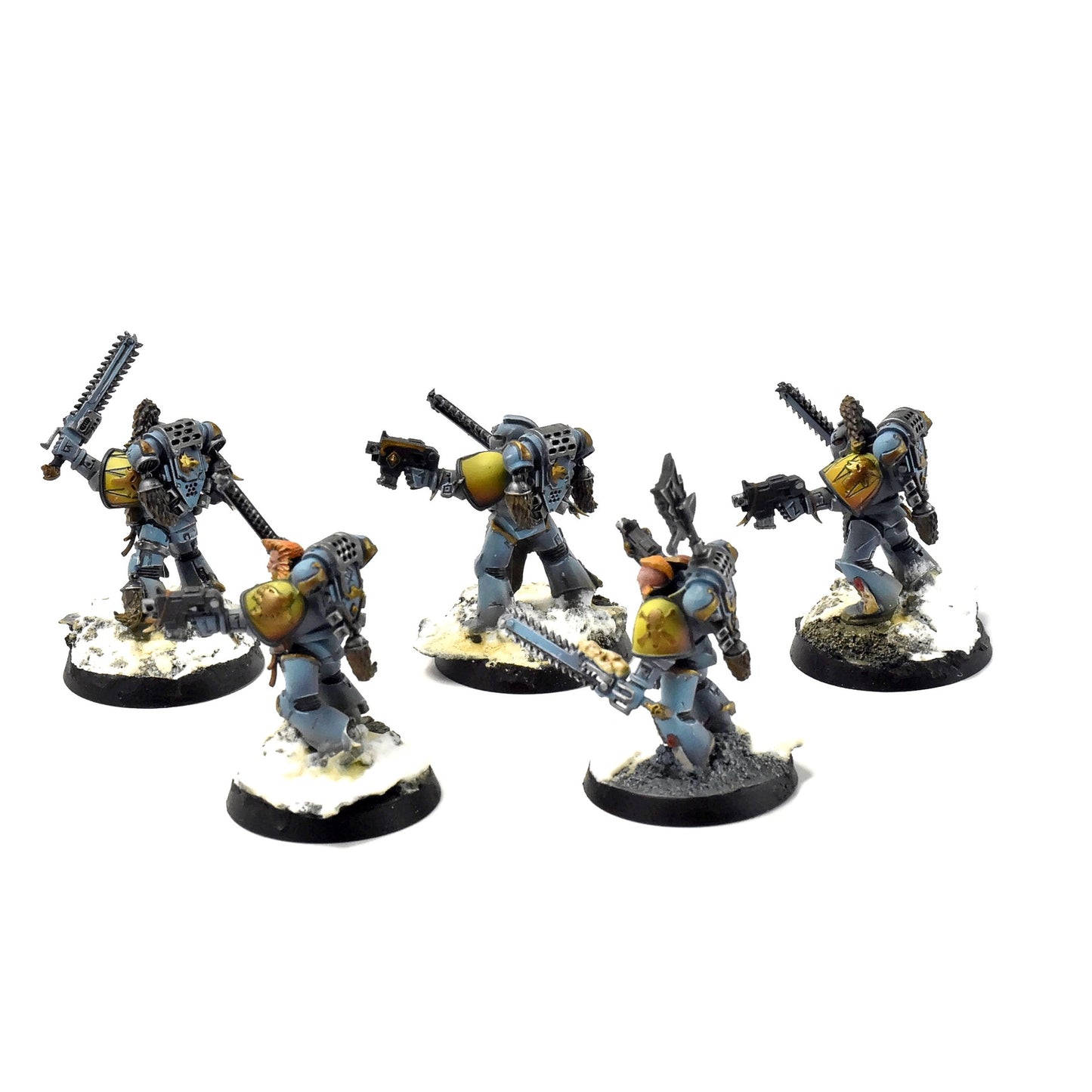SPACE WOLVES 5 Wolf Guards #6 PRO PAINTED Warhammer 40k