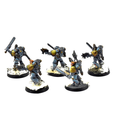 SPACE WOLVES 5 Wolf Guards #6 PRO PAINTED Warhammer 40k