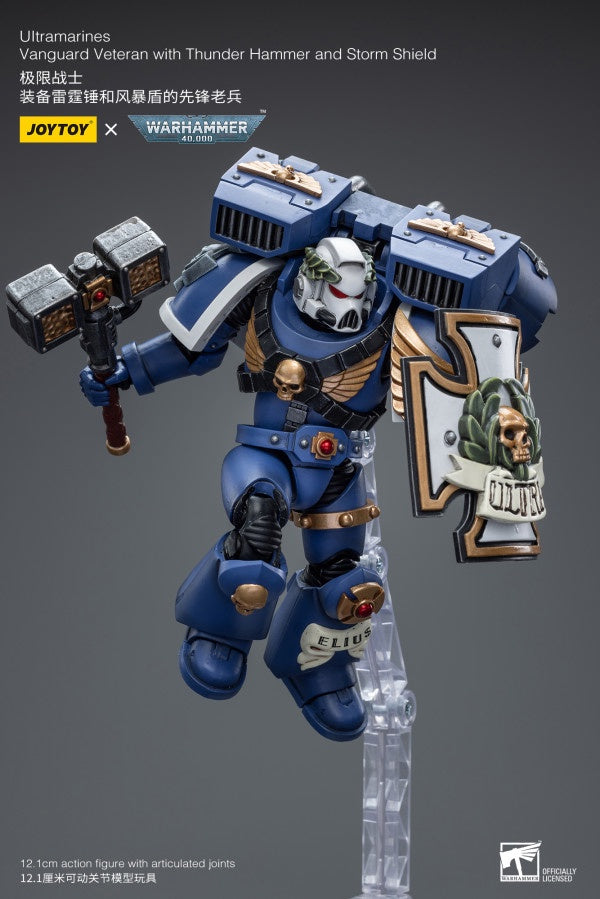 Vanguard Veteran with Thunder Hammer and Storm Shield Ultramarines Joy Toy