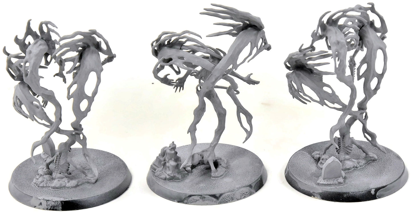 NIGHTHAUNT 3 Spirit Hosts #1 Sigmar 8616