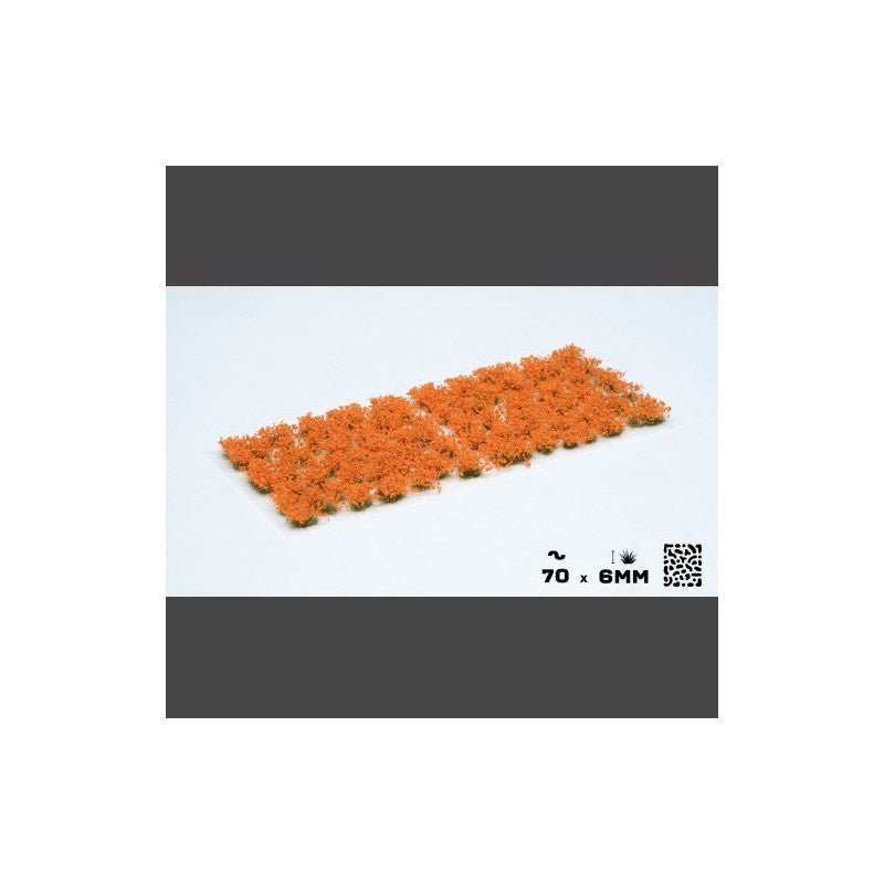 Orange Flowers - Wild