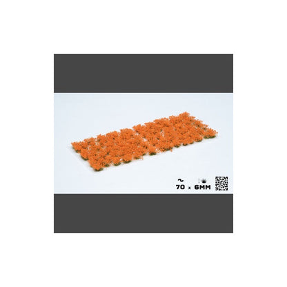 Orange Flowers - Wild