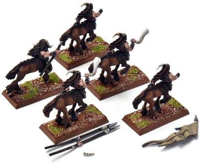 BEASTMEN 5 Centigor Herds #2 PRO PAINTED Metal reassembly missing some horns