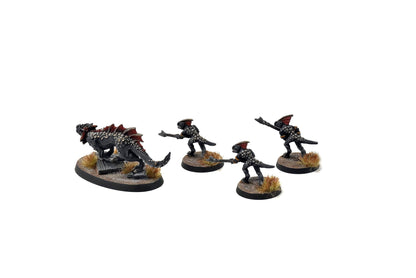 SERAPHON Salamander Hunting Pack #1 PRO PAINTED SIGMAR