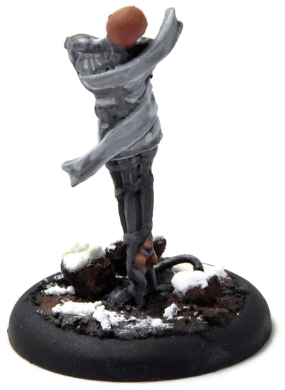 WARMACHINE Trancer #3 WELL PAINTED METAL Crucible Guard