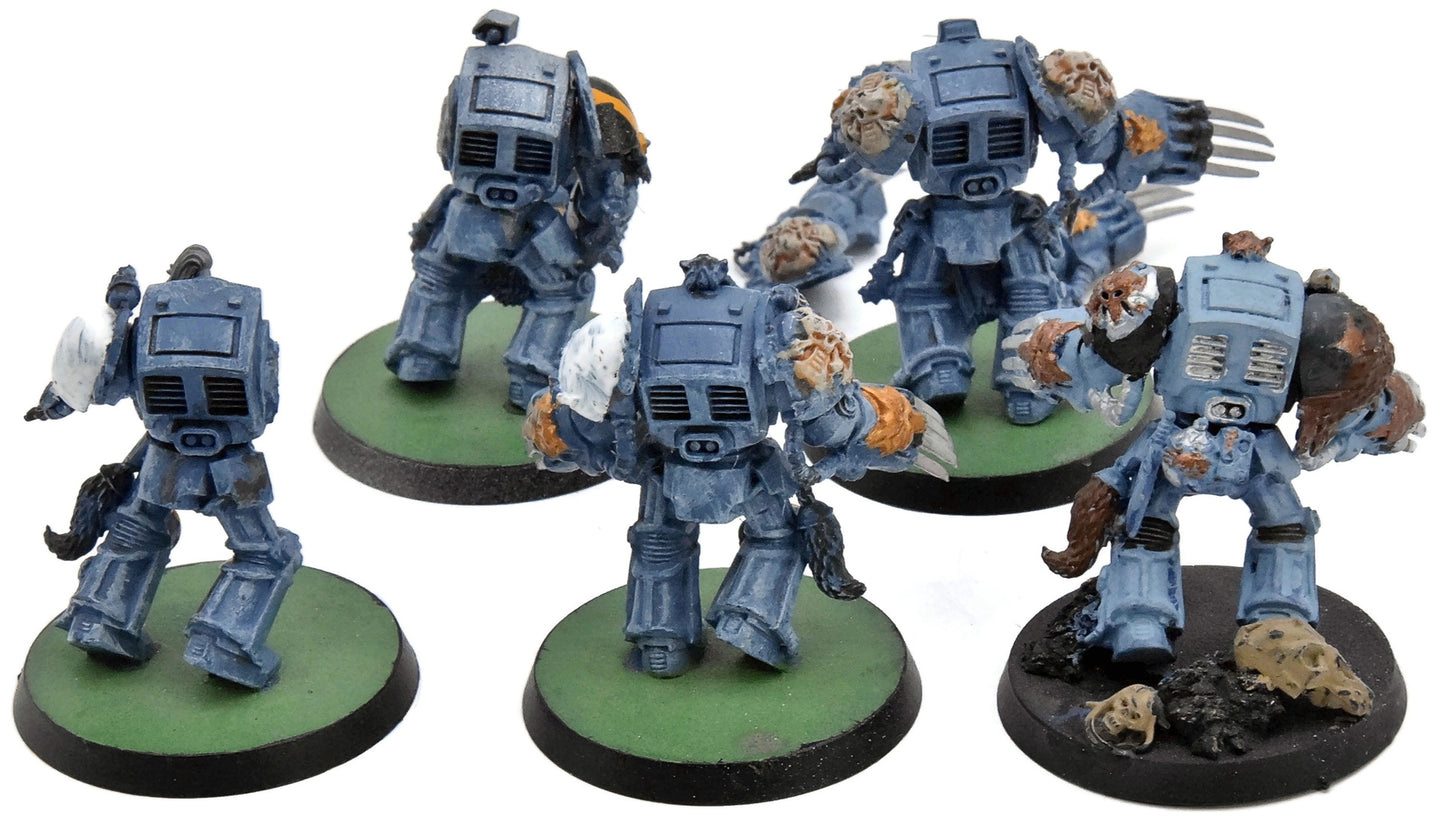SPACE WOLVES 5 Wolf Guard Terminator #3 Warhammer 40K