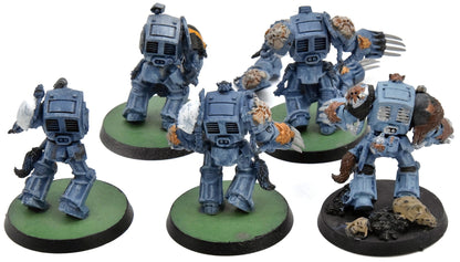 SPACE WOLVES 5 Wolf Guard Terminator #3 Warhammer 40K