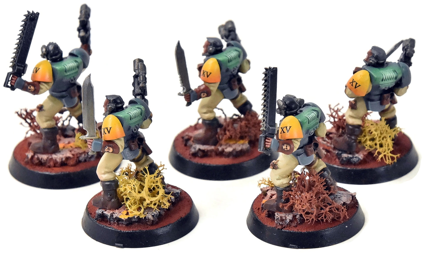 SPACE MARINES 5 Scouts #4 PRO PAINTED Warhammer 40K