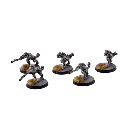 SERAPHON 5 Chameleon Skinks #1 PRO PAINTED SIGMAR