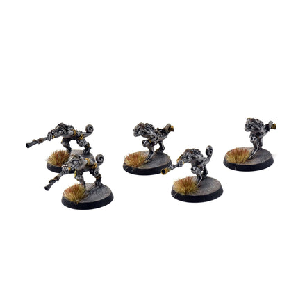 SERAPHON 5 Chameleon Skinks #1 PRO PAINTED SIGMAR